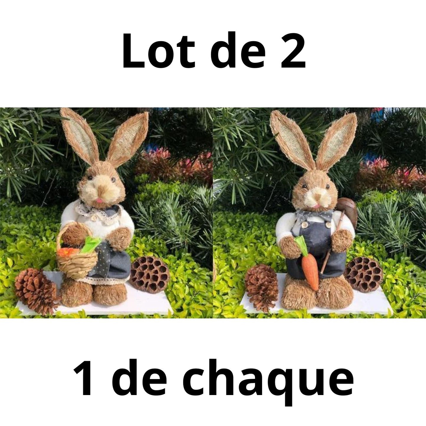 Lapin Décoration Jardin - Coeur de Paille