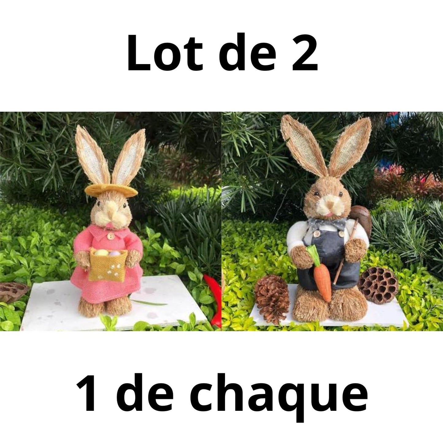 Lapin Décoration Jardin - Coeur de Paille